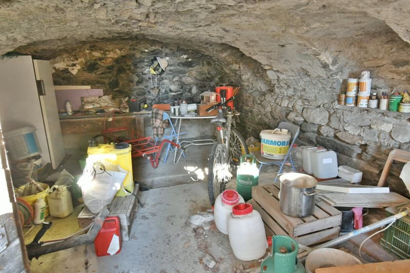 Da acquisire a Chamoson/VS, proprietà composta da 3,5 parcelle, 1 casa e 1 fienile (17)