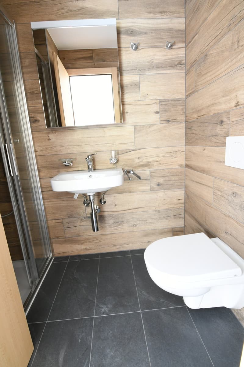 wooden walls, black tiled floor, white toilet, white wall-mounted sink, mirror, glass shower enclosure