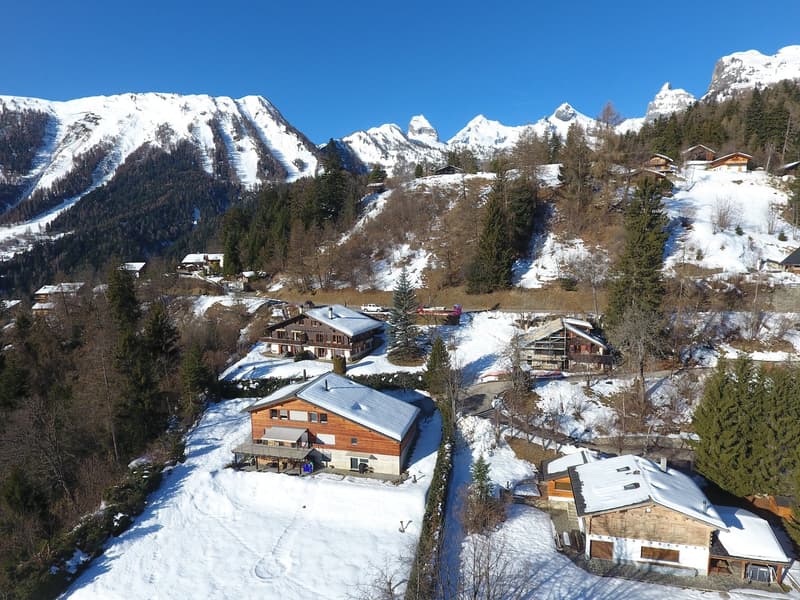 Mountain homes surrounded by snow, wooden structures, mountain view, clear blue sky