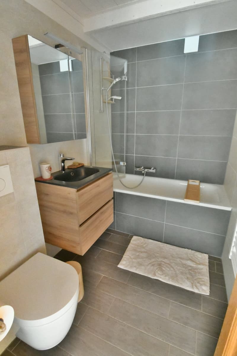 white porcelain sink, wooden bathroom cabinet, chrome faucet, large grey tile walls, white porcelain toilet, shower cubicle with glass door, towel on floor
