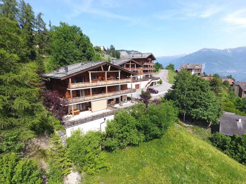 Wooden chalet style building, located on a hillside, surrounded by trees and a mountain view, a red car parked in front of the entrance, balcony on the upper floor, gray roof