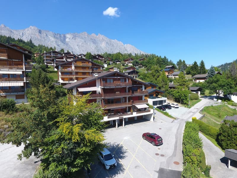 Spacious 2.5-room apartment in Ovronnaz/VS (14)