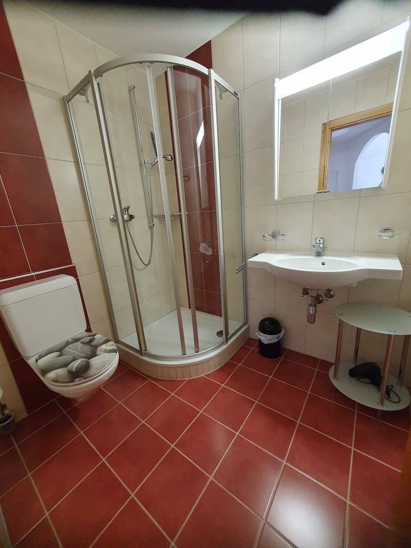 Spacious 2.5-room apartment in Ovronnaz/VS (8)