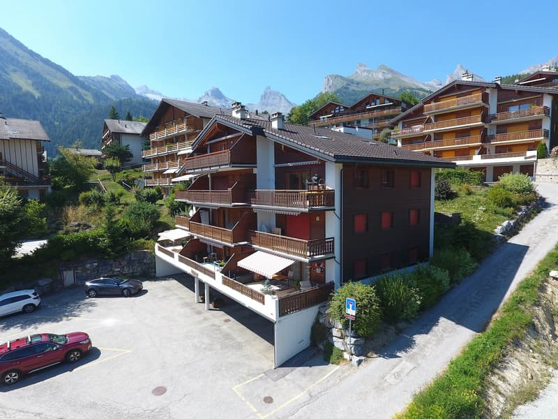 Spacious 2.5-room apartment in Ovronnaz/VS (11)