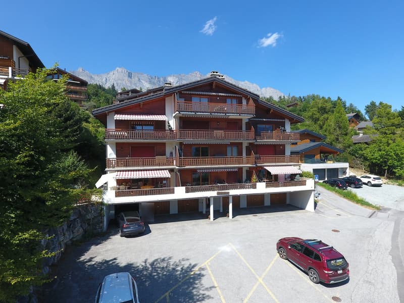 Spacious 2.5-room apartment in Ovronnaz/VS (13)