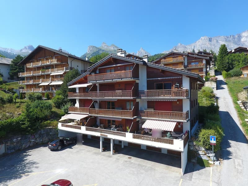 Spacious 2.5-room apartment in Ovronnaz/VS (12)