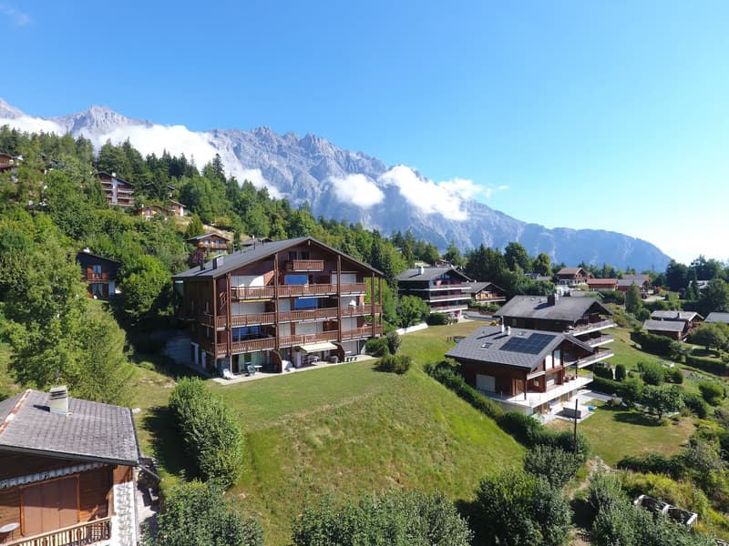 Wooden chalets clustered together on the hillside, balconies with railings, mountains in the background, open grassy areas between chalets, solar panels on one of the houses