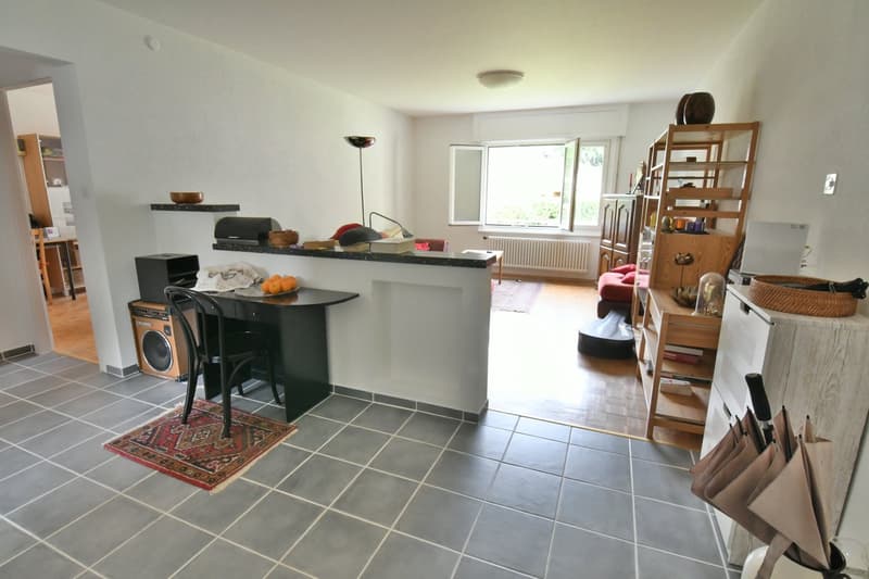 The image shows an open-plan living area with a kitchen, dining, and living room. The kitchen features a granite countertop, a dishwasher, and various kitchen appliances. The living room has a sofa and shelving units. The floor is tiled, and there is a wi