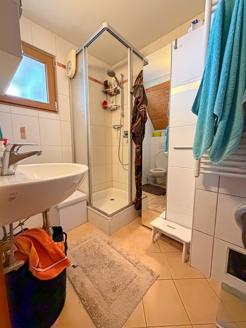 Bathroom with shower, sink, toilet, towel rack, and a rug