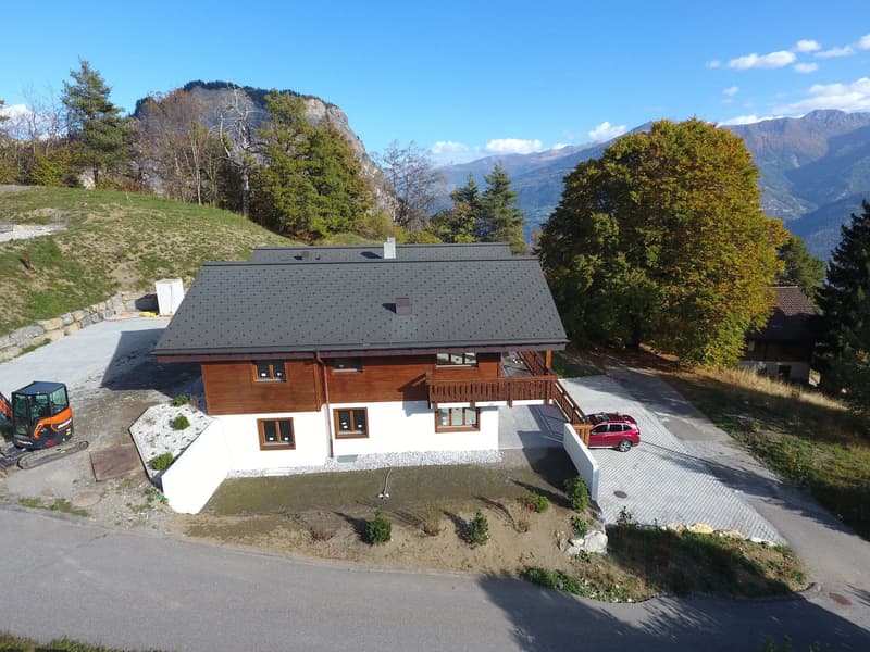 A saisir : Splendide appartement de 3.5 pièces, terrasse sud & pelouse, à Ovronnaz/VS (13)