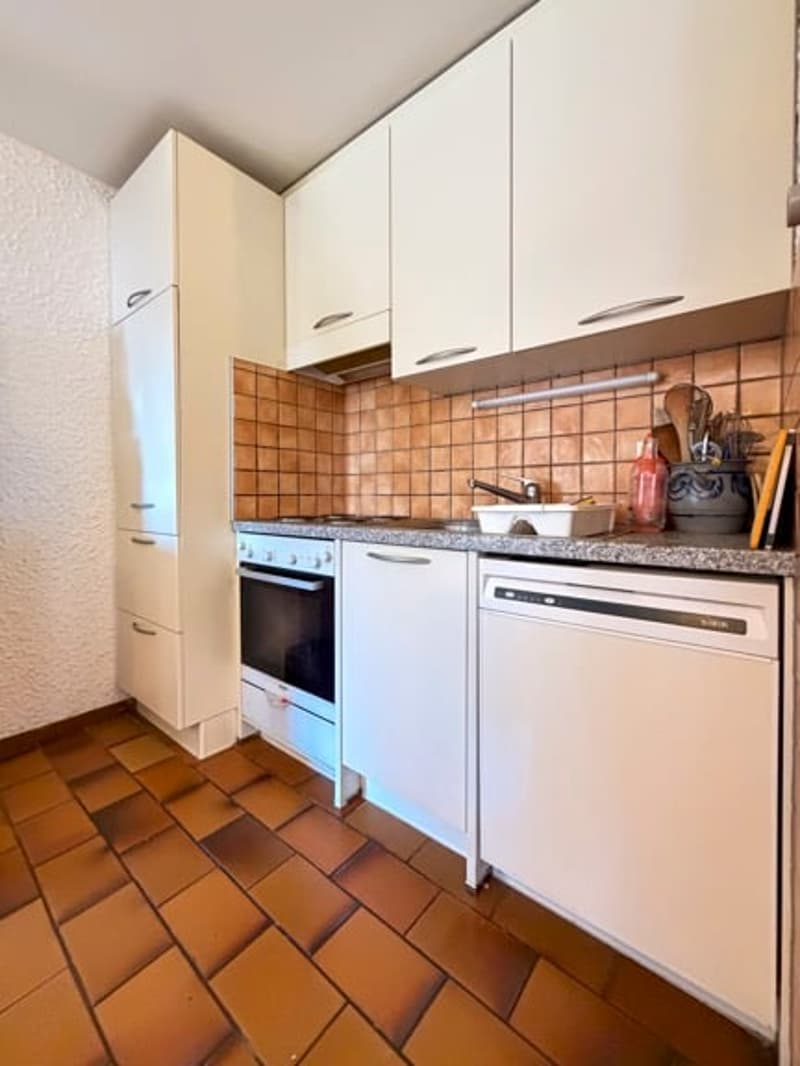 Charming 3.5-room apartment, cozy, bright, south-facing in Ovronnaz (6)