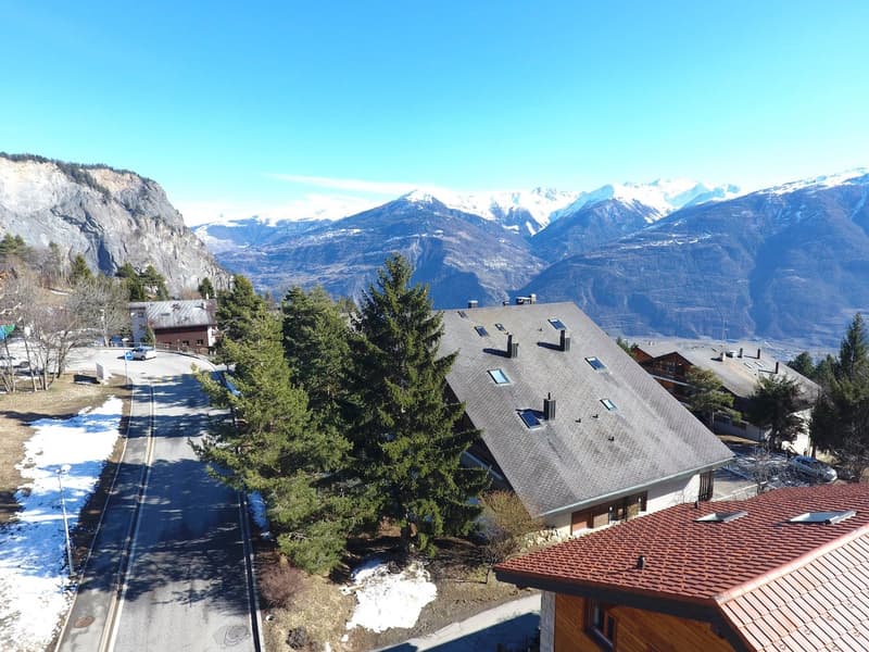 Charming 3.5-room apartment, cozy, bright, south-facing in Ovronnaz (14)