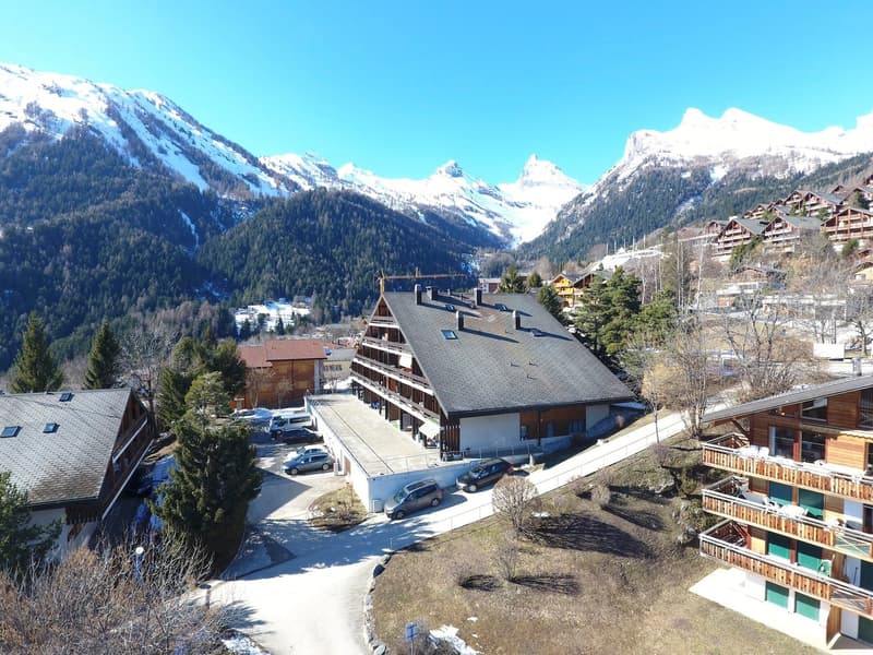 Charming 3.5-room apartment, cozy, bright, south-facing in Ovronnaz (15)