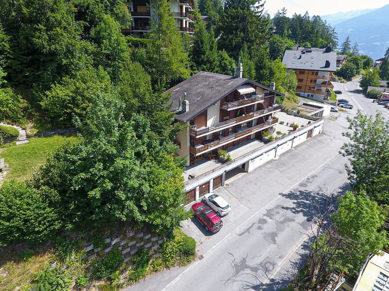 Apartment 2.5 rooms renovated with large south and west terrace in Ovronnaz/VS (13)