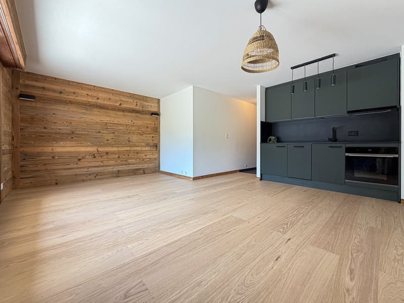 Apartment 2.5 rooms renovated with large south and west terrace in Ovronnaz/VS (4)