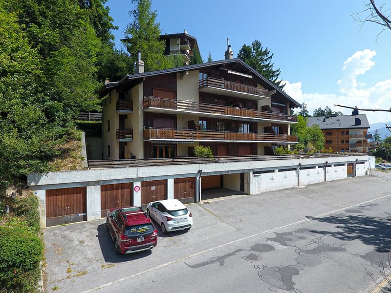 Apartment 2.5 rooms renovated with large south and west terrace in Ovronnaz/VS (12)