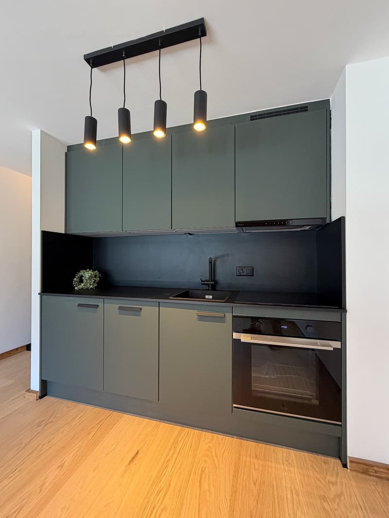 Apartment 2.5 rooms renovated with large south and west terrace in Ovronnaz/VS (5)