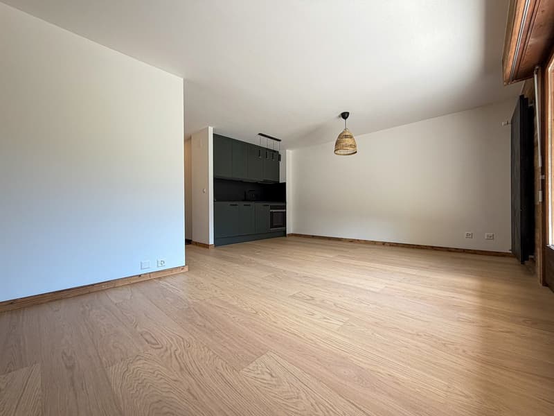 Apartment 2.5 rooms renovated with large south and west terrace in Ovronnaz/VS (3)