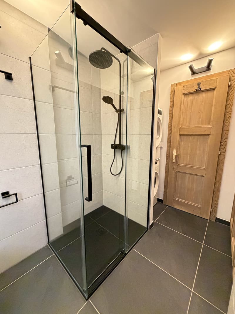 Apartment 2.5 rooms renovated with large south and west terrace in Ovronnaz/VS (8)