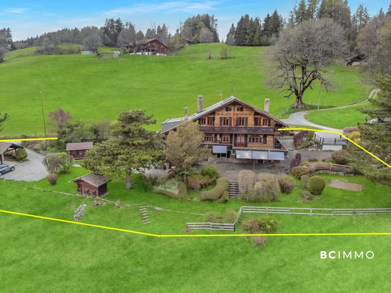 Grand chalet sur une magnifique parcelle (2)