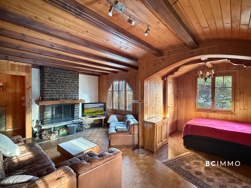 Grand chalet sur une magnifique parcelle (5)