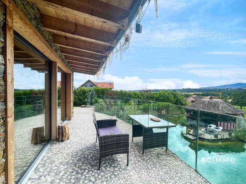 Domaine d'exception aux portes de Lausanne (3)
