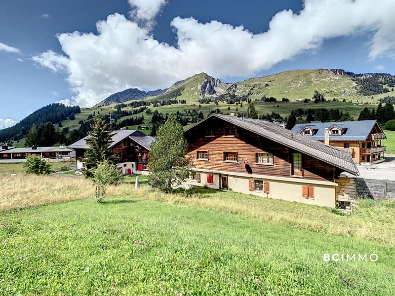 Chalet composé de deux appartements et un commerce (4)
