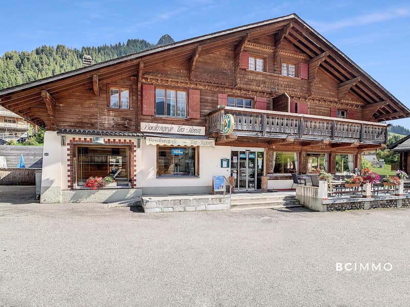 Chalet composé de deux appartements et un commerce (1)