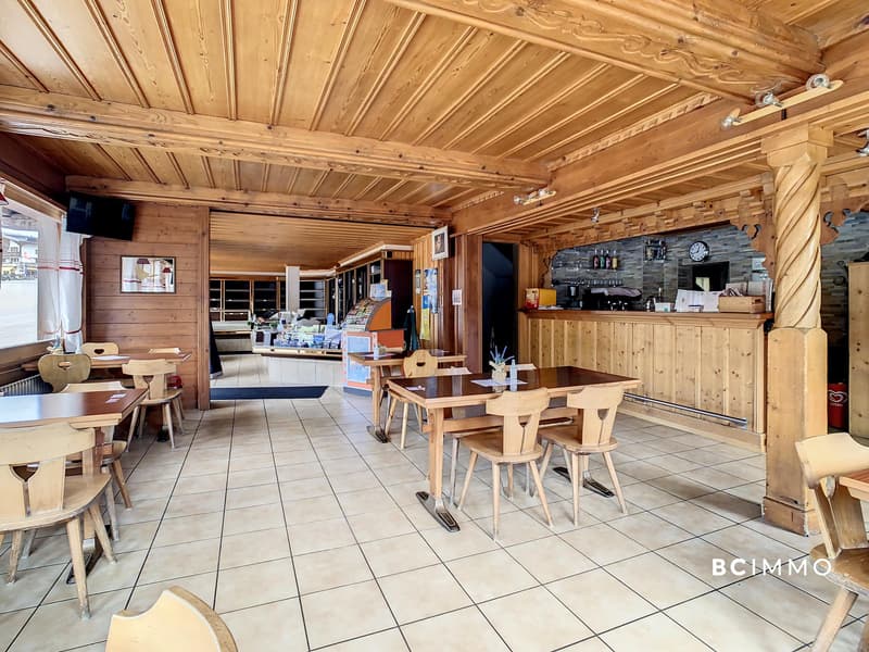 Chalet composé de deux appartements et un commerce (6)