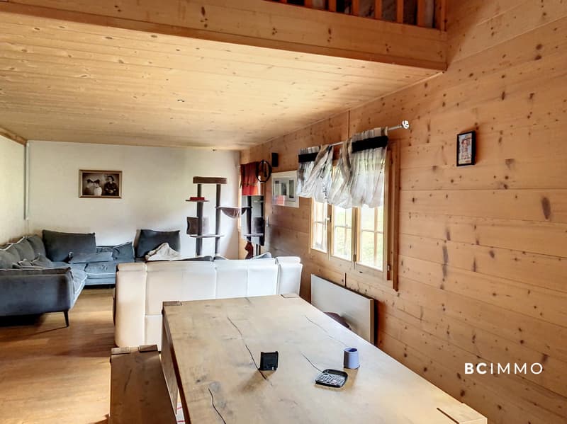 Chalet composé de deux appartements et un commerce (8)