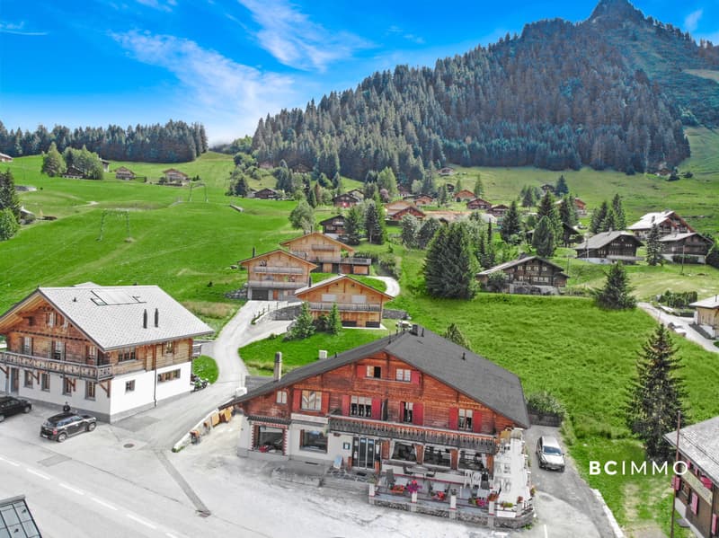 Chalet de deux appartements et un commerce | BC IMMO (3)