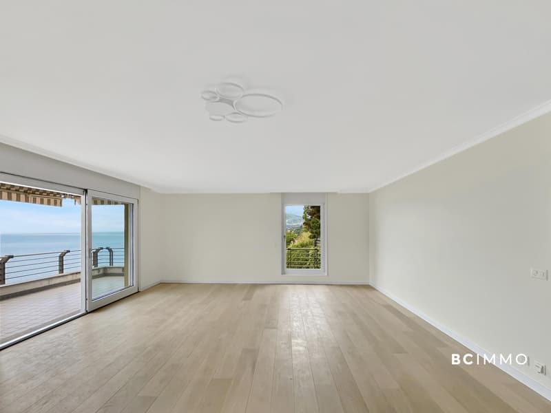Élégance contemporaine avec vue panoramique sur le lac (1)