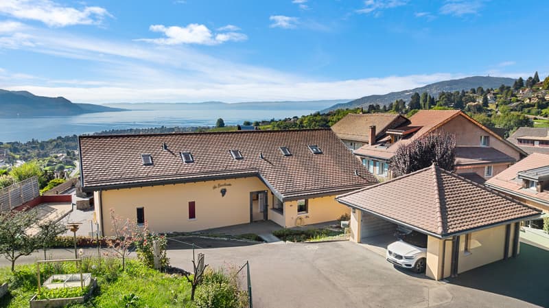 Magnifique villa vue lac et piscine (3)
