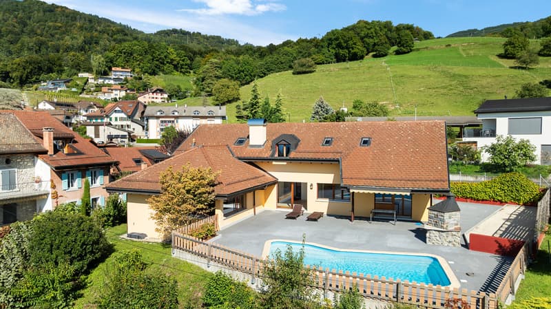 Magnifique villa vue lac et piscine (6)