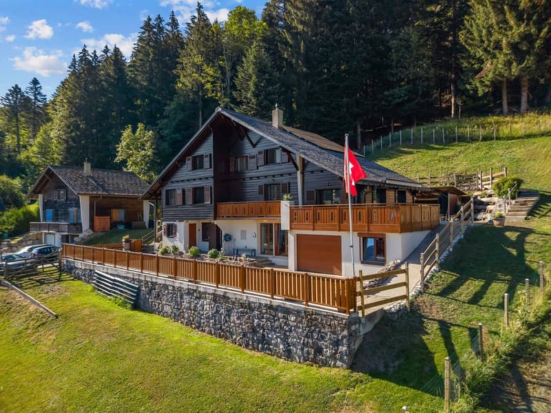 Splendide chalet de 8.5 pièces aux Paccots (1)