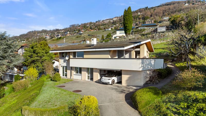 Villa unique avec vue lac panoramique (1)