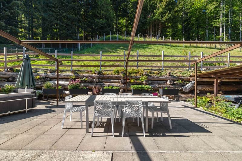 Terrasse sud