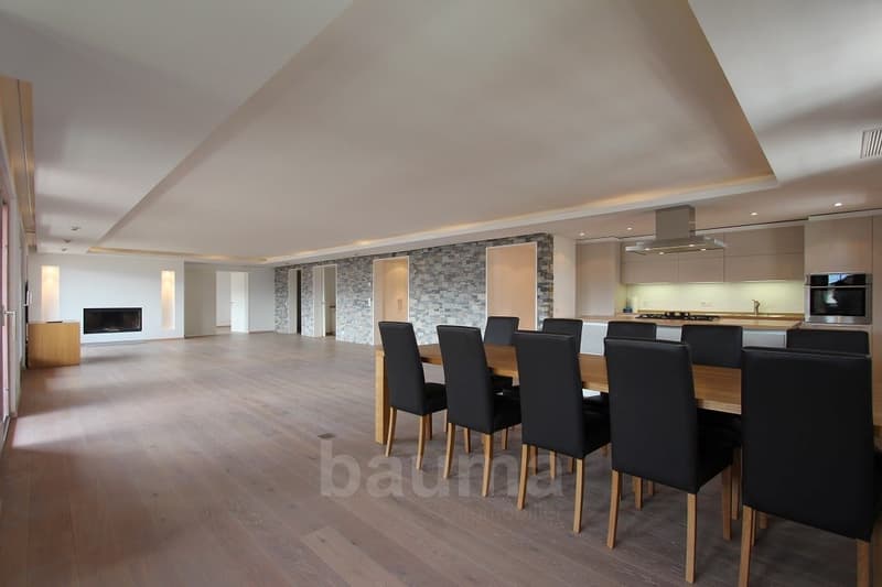 Ampio appartamento di prestigio (5)