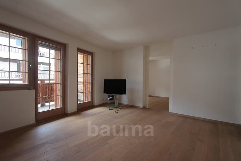Ampio appartamento di prestigio (8)
