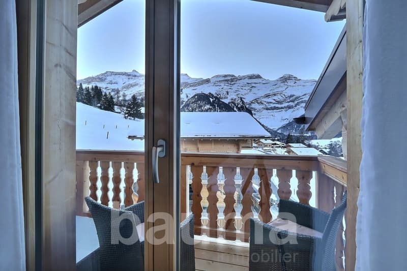 Chalet with two dwellings (12)