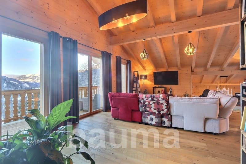 Chalet with two dwellings (8)