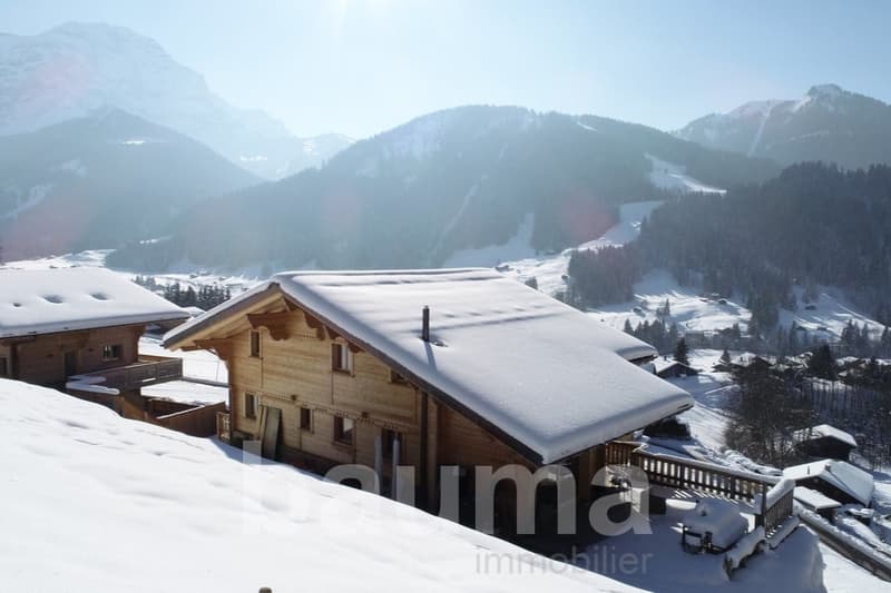 Chalet with two dwellings (6)