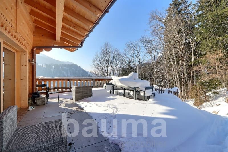 Chalet with two dwellings (5)