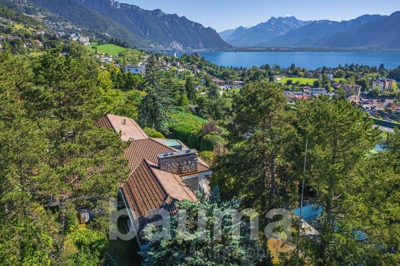 House with brown roof, surrounded by trees, swimming pool, mountains and lake in the background