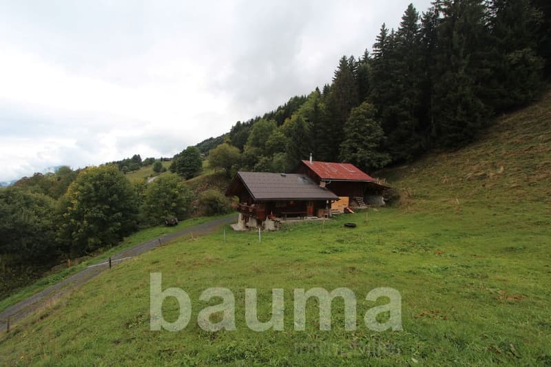Chalet di alpeggio situato a Croquolet (13)