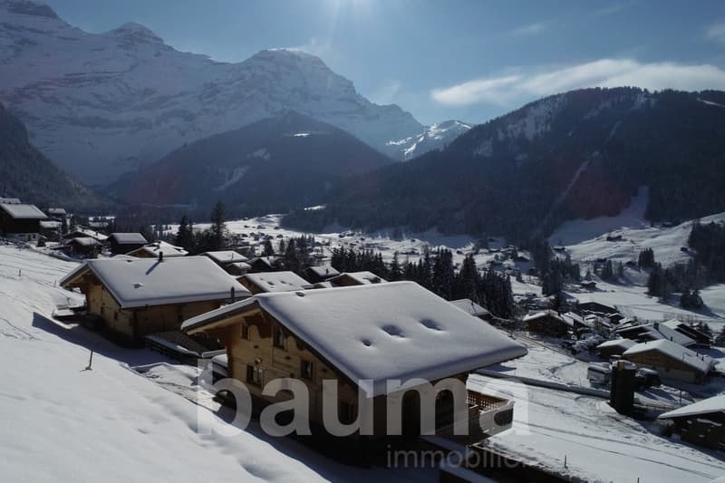 Chalet Capucchione, Les Diablerets (2)