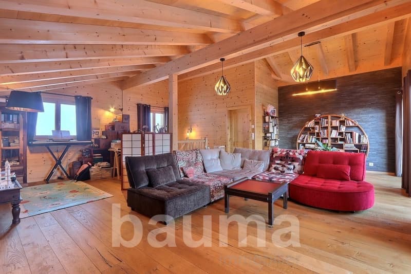 Chalet de deux logements (9)