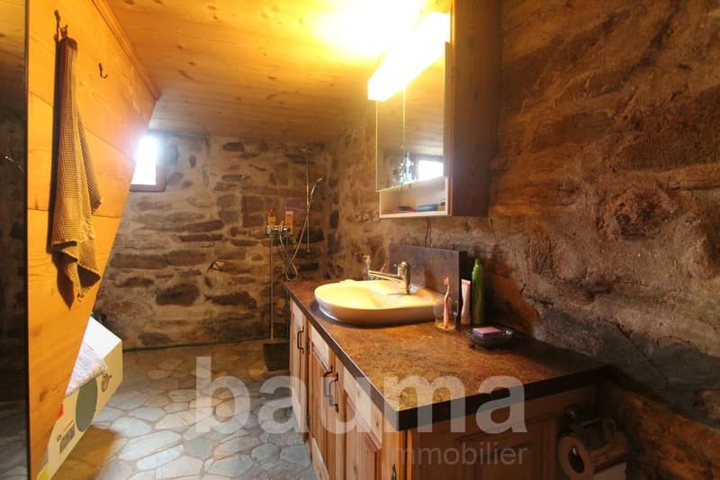 Chalet d'alpage situé au Croquolet (12)