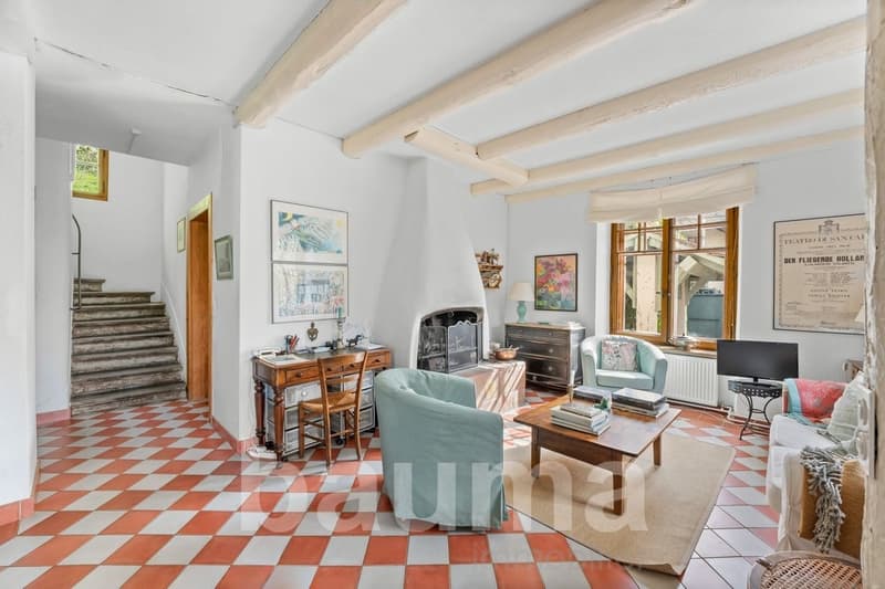 Maison de charme, lieu particulièrement calme (4)