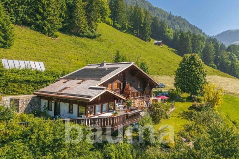 Chalet les Herbelands - 2 logements (13)